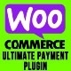 WooCommerce Ultimate Payment Plugin For Bluepay, NMI, And Braintree Payments