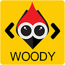 Woody Code Snippets – Insert Header Footer Code, AdSense Ads