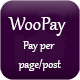 WooPay Pay Per Page/Post – WooCommerce Wordpress Plugin