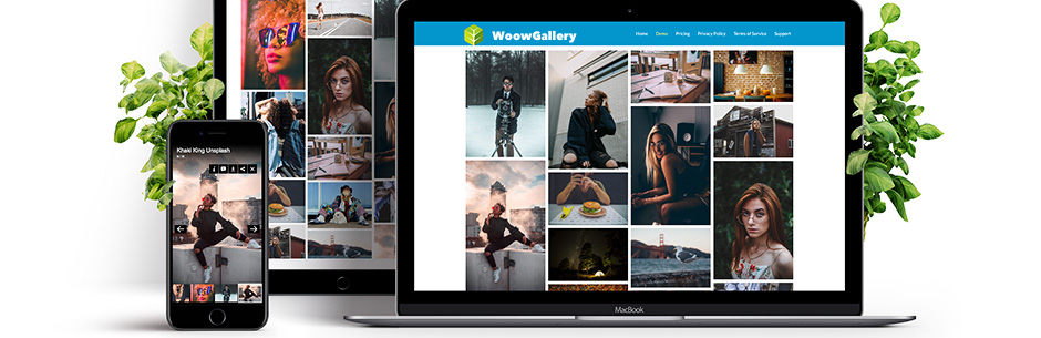 WoowGallery – Image Gallery / Content Gallery / Ecommerce Gallery / Social Gallery / Video Gallery / Album Photo Gallery Preview Wordpress Plugin - Rating, Reviews, Demo & Download