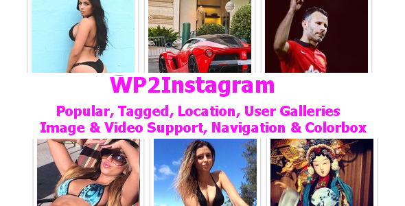 Wordpress 2 Instagram Ultimate Plugin Preview - Rating, Reviews, Demo & Download