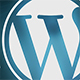WordPress All You Need Plugin