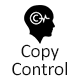 WordPress Copy Control Plugin