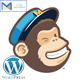 Wordpress Mailchimp Subscription Plugin