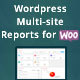 WordPress Multi-site Reports
