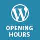 WordPress Opening Hours Plugin With Layout Builder
