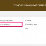 WP-Google-Language-Translator