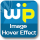 WP Image Hover Effects Pro
