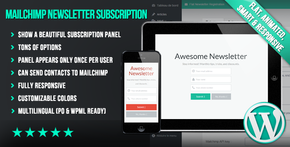 WP Mailchimp Newsletter Subscription Panel Preview Wordpress Plugin - Rating, Reviews, Demo & Download