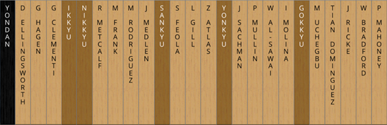 WP-Nafudakake Dojo Rank Board Generator Preview Wordpress Plugin - Rating, Reviews, Demo & Download