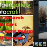 WP Photocrati Gallery Search