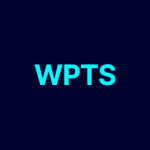 WP Theme Scripts