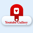 WP Youtube Video Gallery