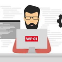 WP01 – Speed, Security, SEO Consultant