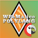 WPeMatico Polylang