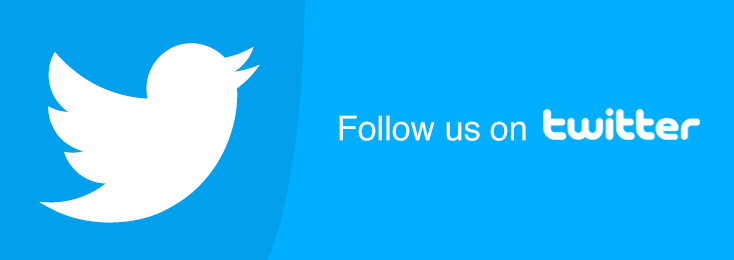 WS Twitter Follow Button Preview Wordpress Plugin - Rating, Reviews, Demo & Download