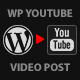 YouTube WordPress Plugin – Video Import