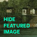 ZI Hide Featured Image