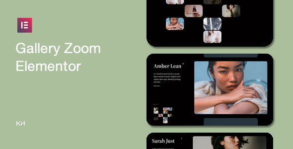 Zoom Gallery For Elementor Preview Wordpress Plugin - Rating, Reviews, Demo & Download